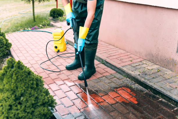 Best Dumpster Area Cleaning  in Rainbow Park, FL