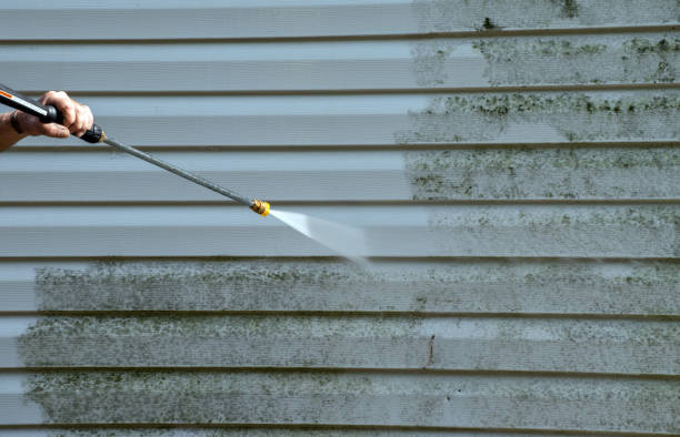 Boat and Dock Cleaning in Rainbow Park, FL