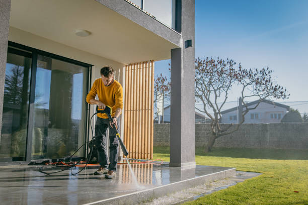 Best Solar Panel Cleaning  in Rainbow Park, FL